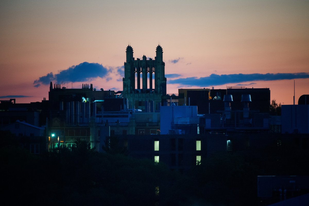 Carver College of Medicine tweet media