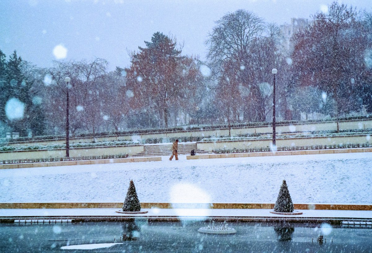 maximevisticot's tweet photo. Paris sous un manteau blanc, sur film https://t.co/4AzHBIk5oG