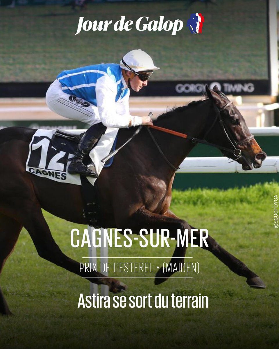 Jour_de_Galop's tweet photo. ⭕ #CagnesSurMer – Prix de l’Estérel (Maiden)

Astira (Persian King) ouvre son palmarès pour Wertheimer &amp; Frère et C.Ferland sur un terrain très pénible. Elle s'est faufilée à la corde, bien menée par S. Pasquier pour se détacher avec autorité.
➕d'infos : https://t.co/0vXb6IqqBJ https://t.co/DPNBxqxAH2