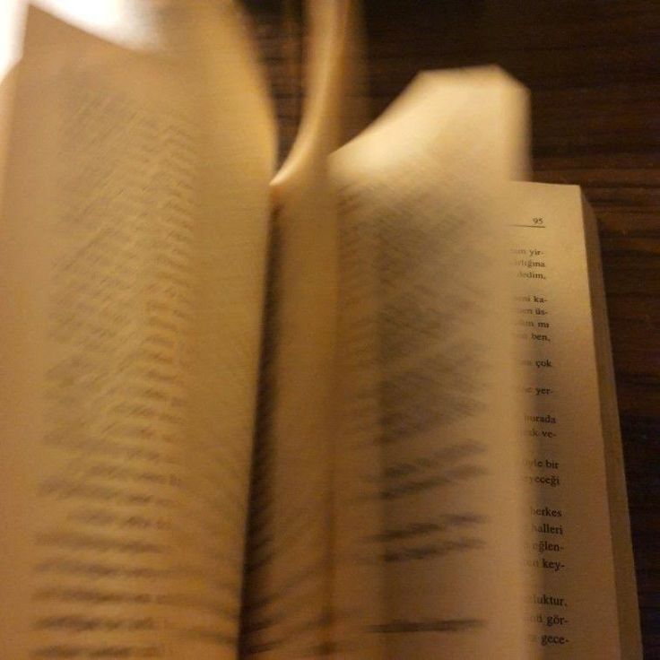 chaptercriss's tweet image. ‧˚꒰📚꒱༘‧— 𝑀𝑦 𝑟𝑒𝑎𝑑𝑖𝑛𝑔𝑠 𝑜𝑓 2026 ⚘.
                        𓂃˖˳·˖ ִֶָ ⋆📖⋆ ִֶָ˖·˳˖𓂃

 "ᴜᴍ ʟɪᴠʀᴏ ᴇ́ ᴀ ᴘʀᴏᴠᴀ ᴅᴇ ǫᴜᴇ ᴏs ʜᴏᴍᴇɴs
               sᴀ̃ᴏ ᴄᴀᴘᴀᴢᴇs ᴅᴇ ғᴀᴢᴇʀ ᴍᴀɢɪᴀ." 
                      — ᴄᴀʀʟ sᴀɢᴀɴ𓂃✍︎