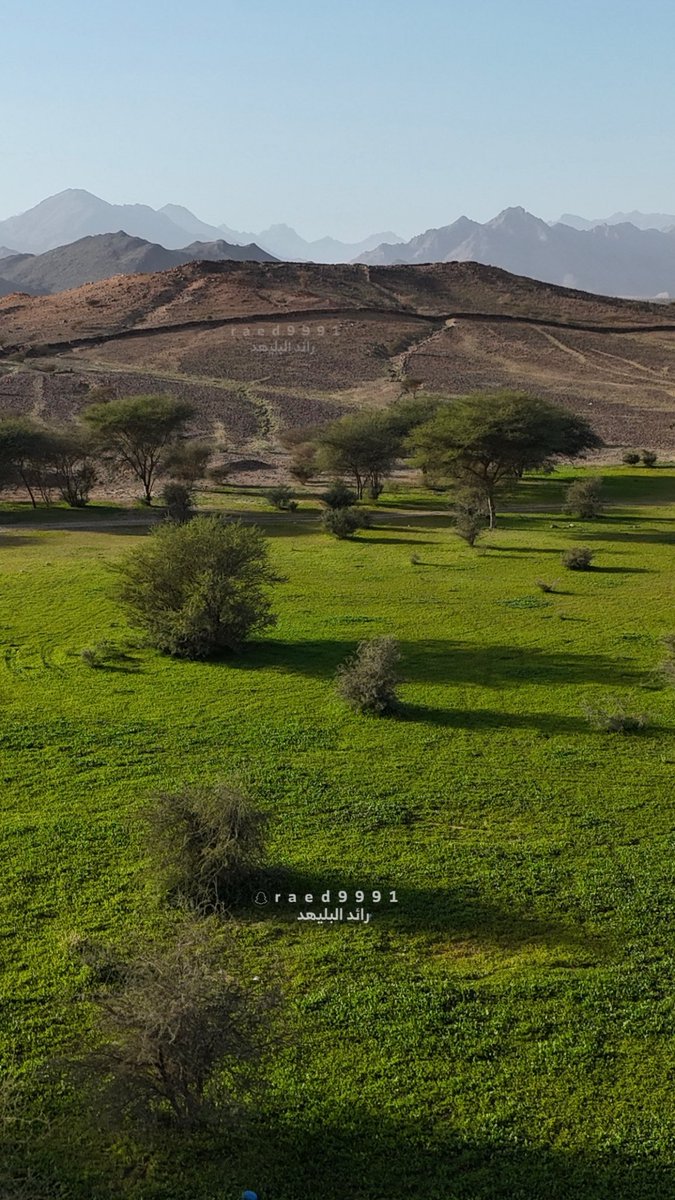 رائد البليهد tweet media