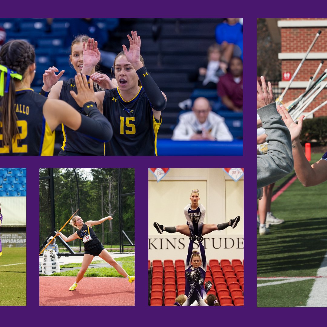 Montevallo Falcons tweet media