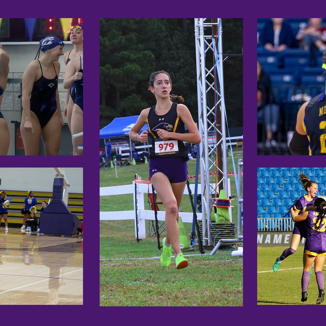 Montevallo Falcons tweet media