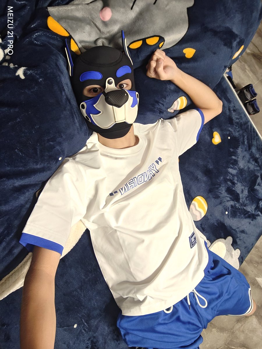 小炮射大雕 tweet media