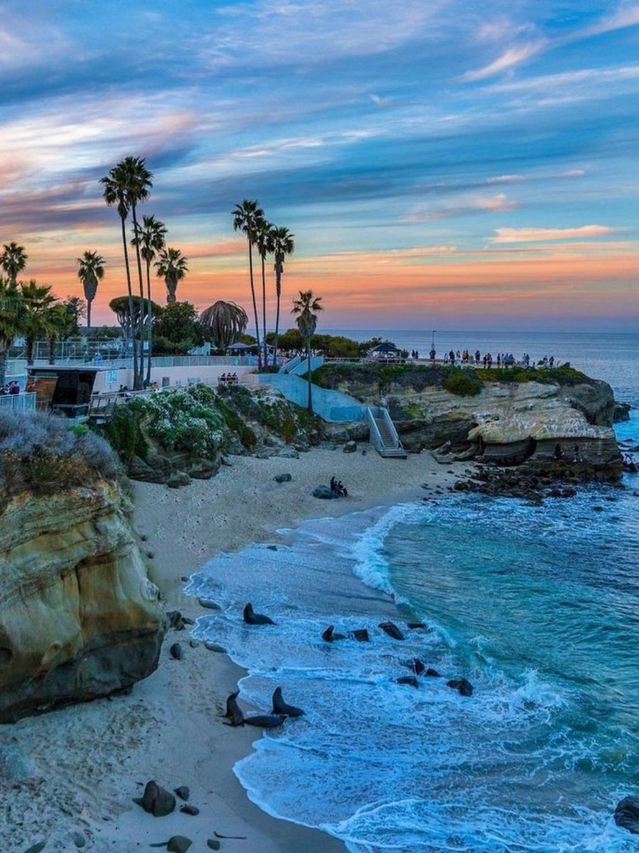 MozartCultures's tweet photo. san diego, usa https://t.co/oWhpYHyfSg