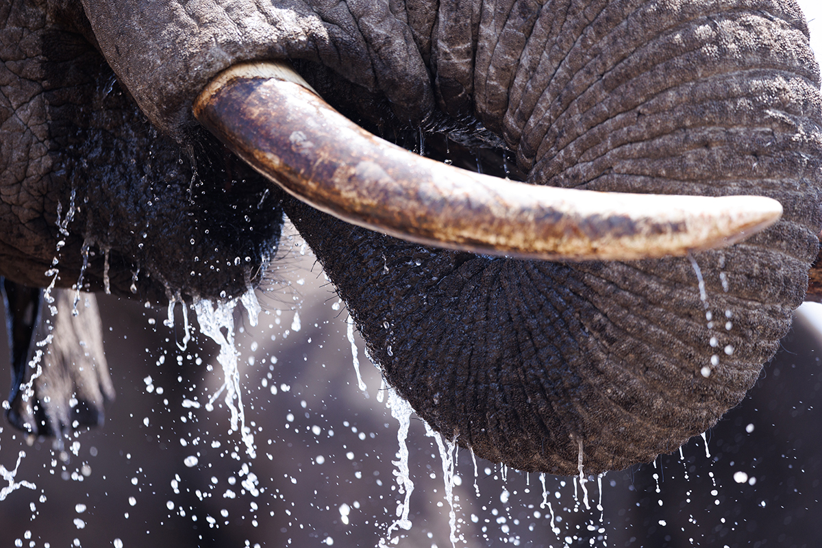 Big Life Foundation tweet media