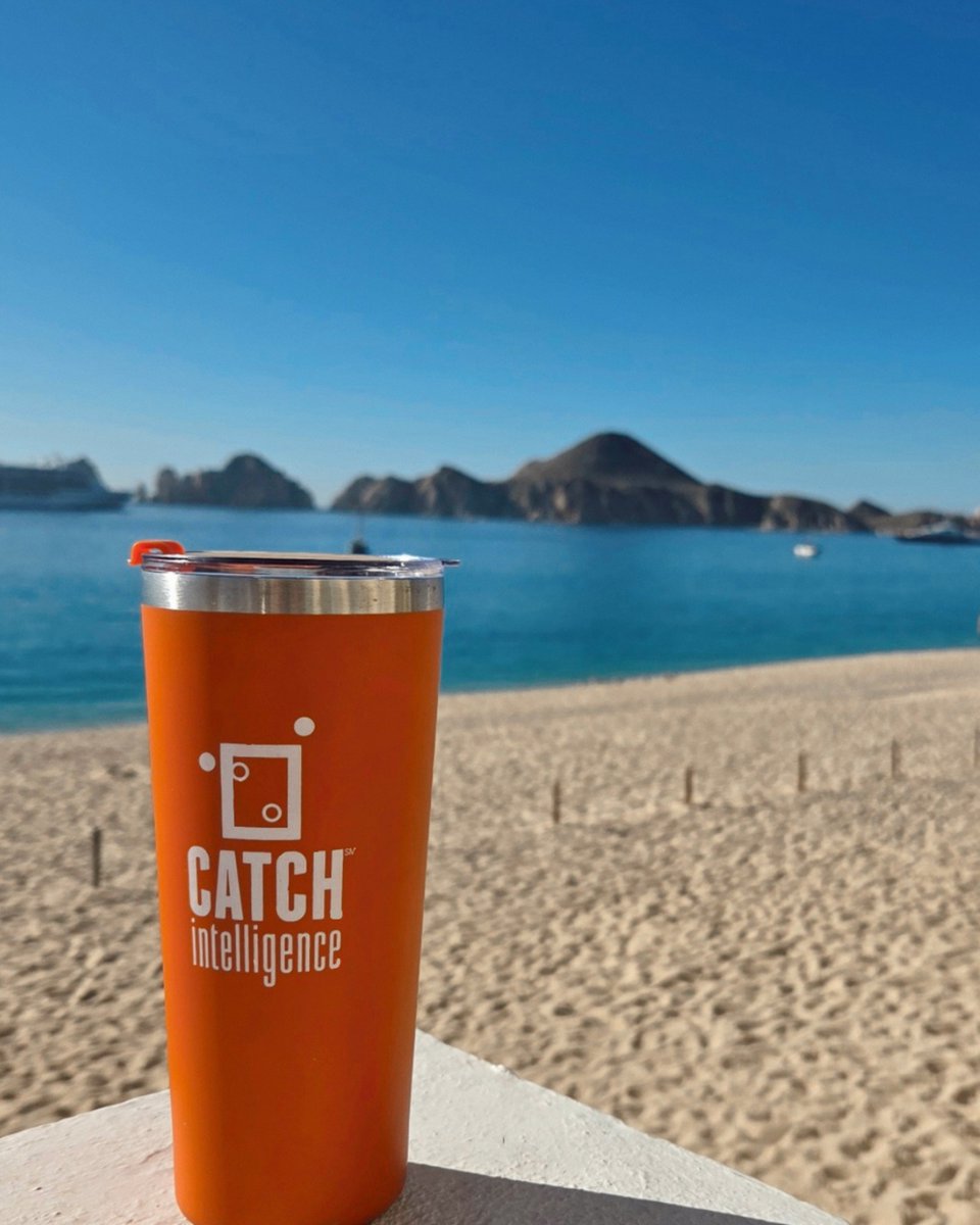 CATCH Intelligence tweet media