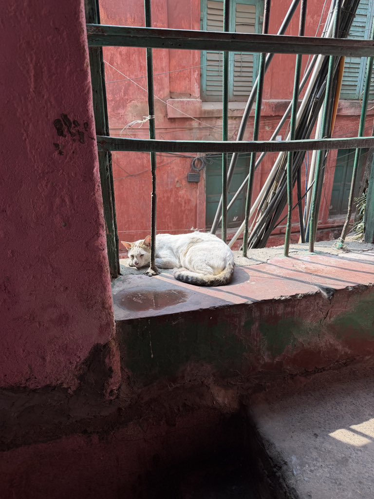 bashrrrrr's tweet image. 