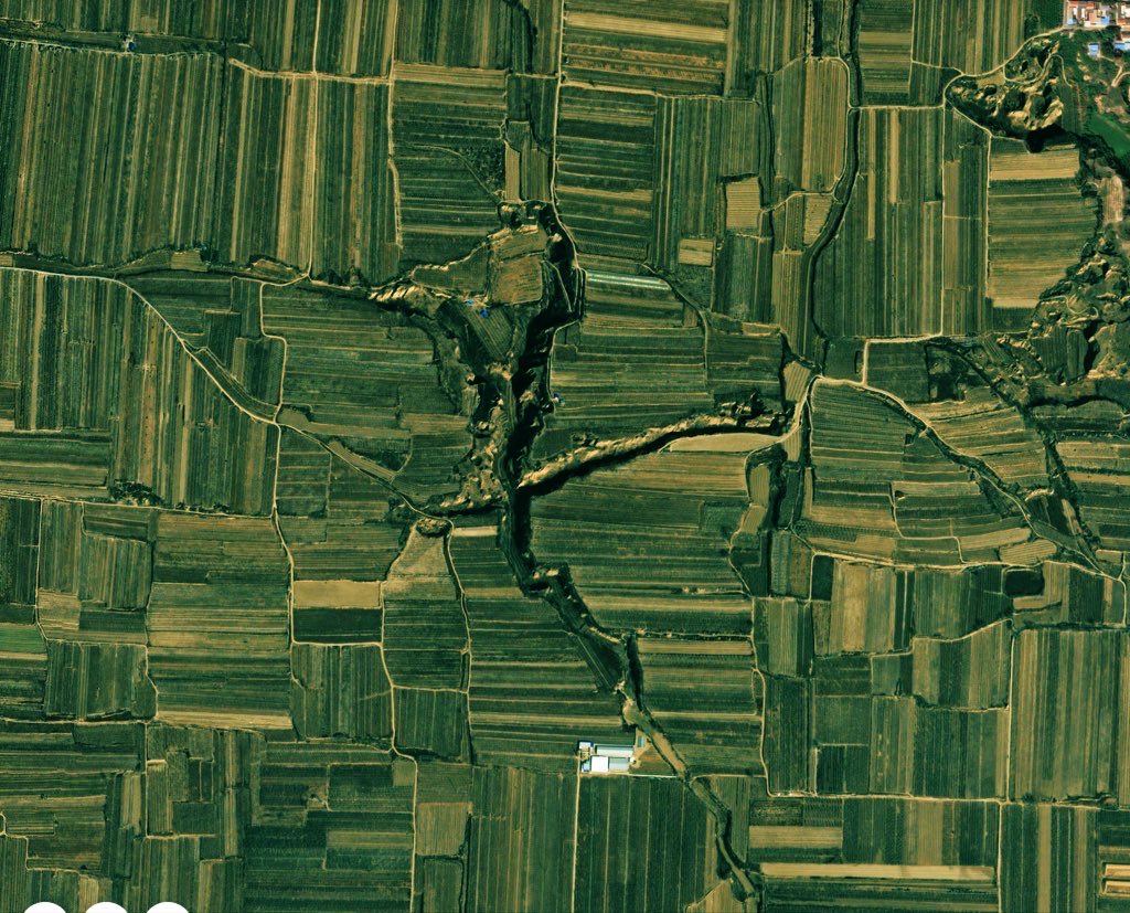 •the chaos method• tweet media