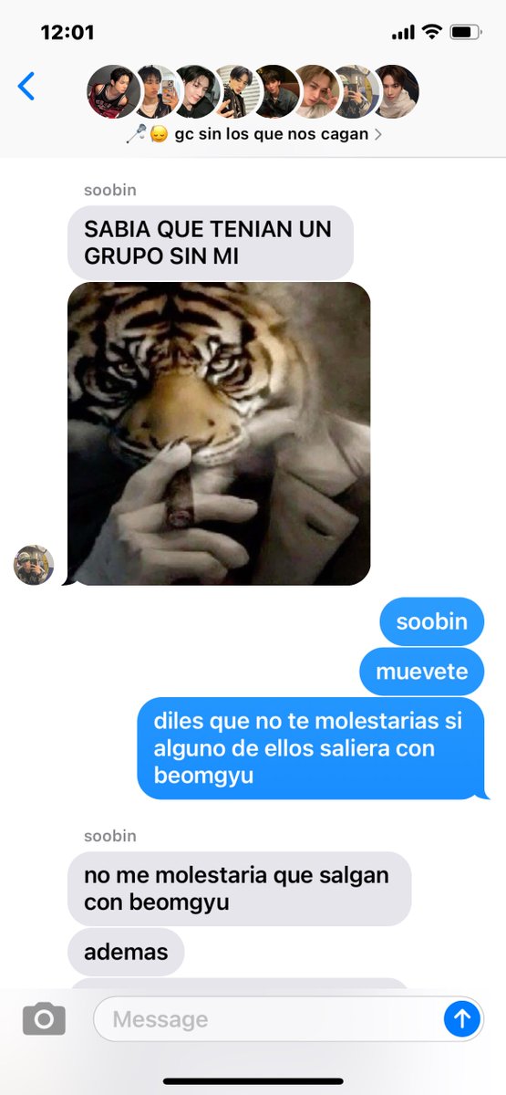 ibeomss's tweet image. 🐻🦊