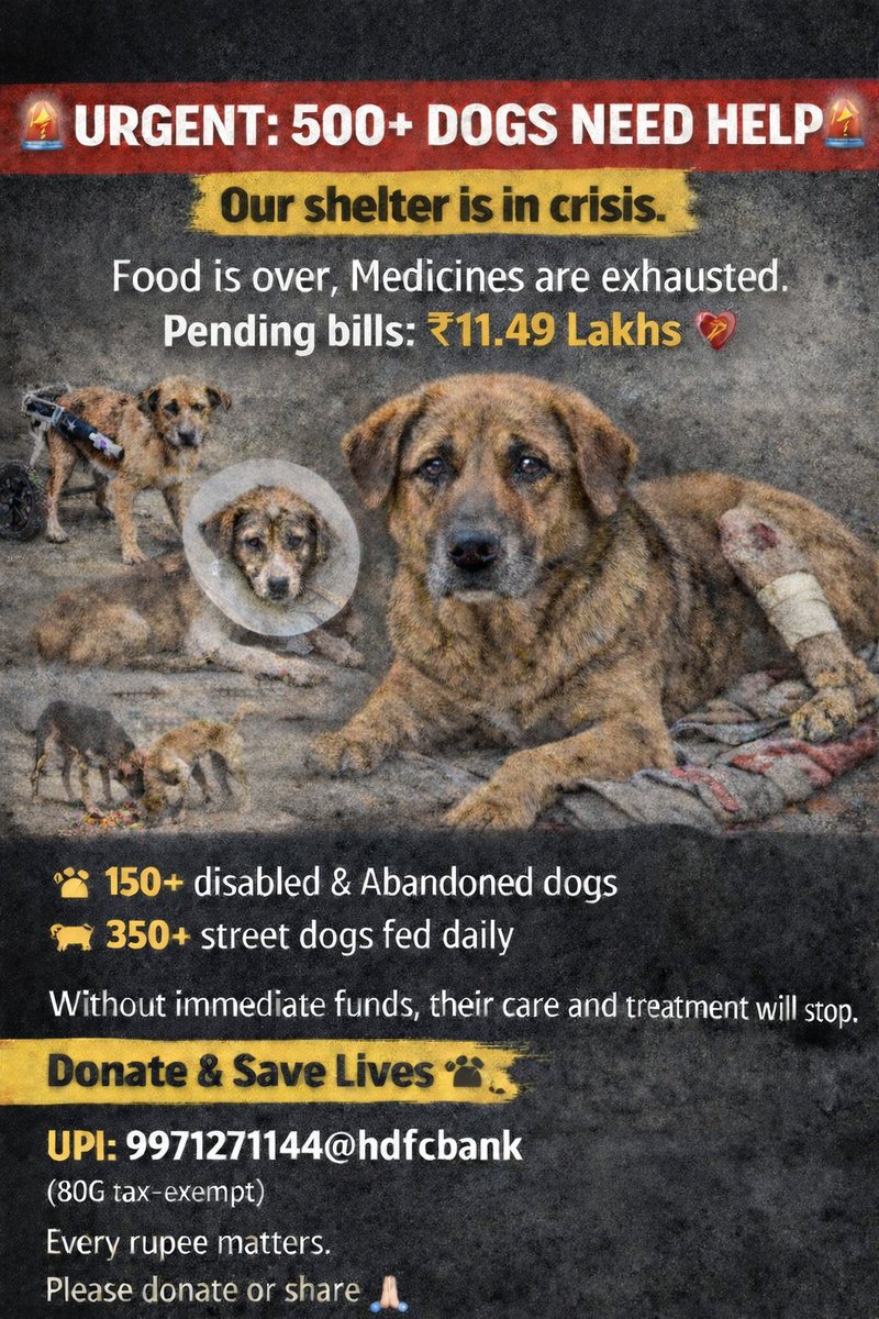 Vovless's tweet photo. URGENT FUND APPEAL 
Payment request from FARIDABAD VOICE OF VOICELESS FOUNDATION 
Use this link to enter the amount and pay securely via Razorpay: https://t.co/66TjZwqv0X
PLEASE CALL 997127114 FOR DETAILS https://t.co/obxurFvRNH