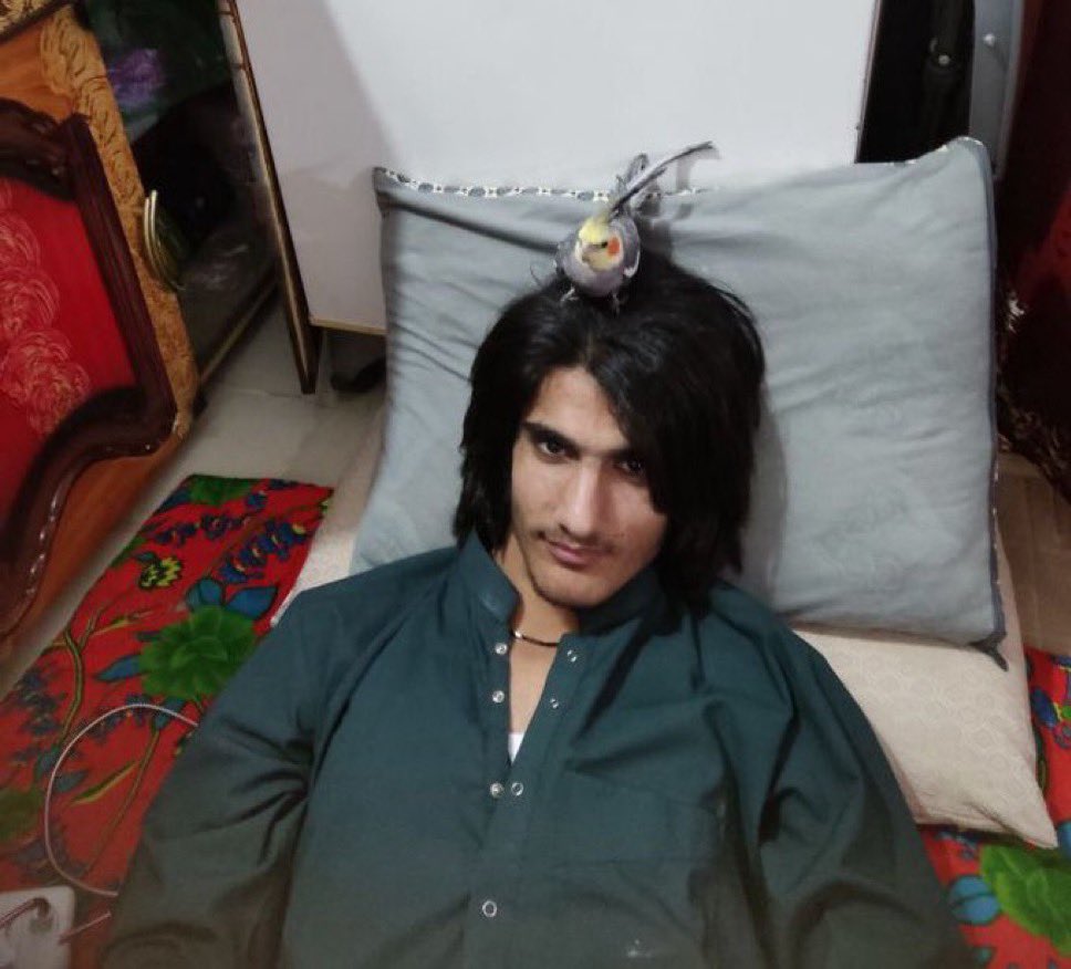 محسن اربابی و پرنده‌اش.