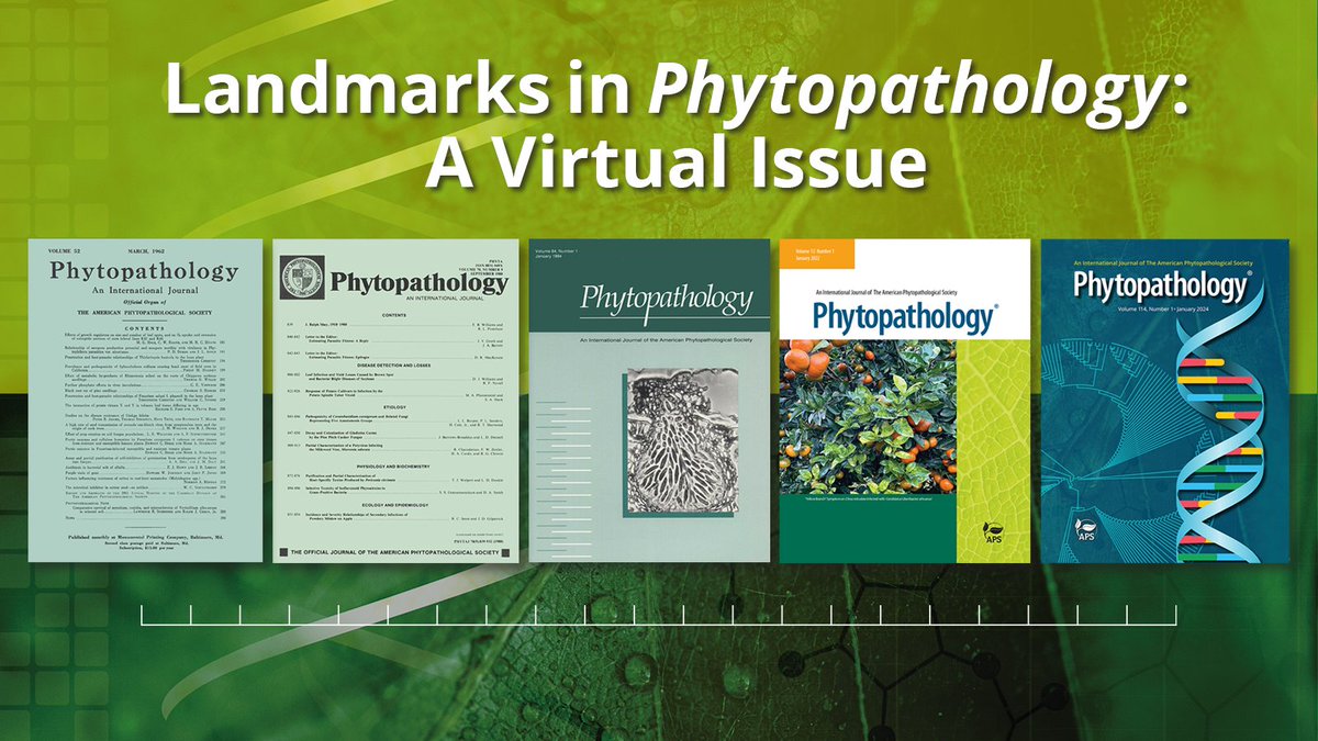 Phytopathology® tweet media