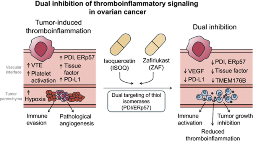 FASEBPubs tweet media