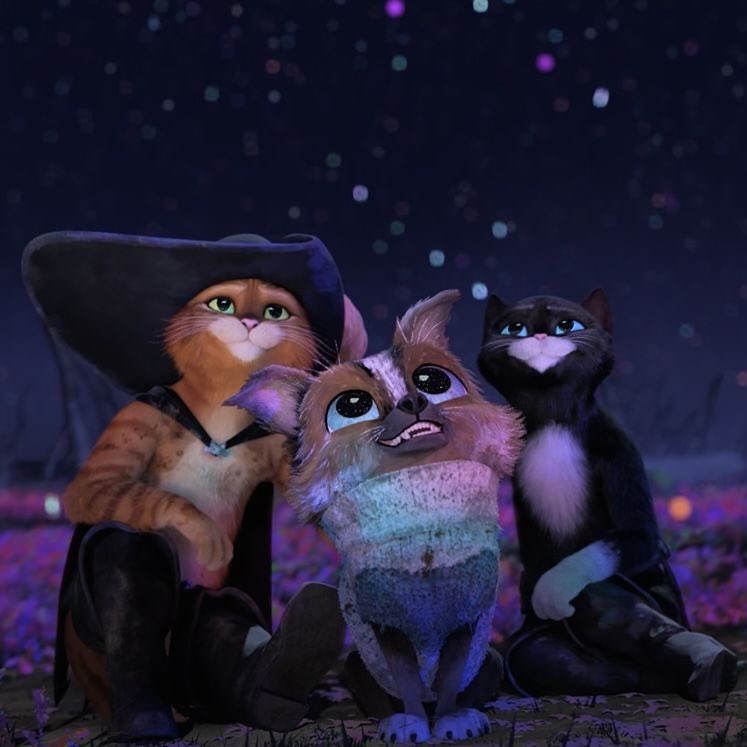 FRENCHRAPUS 🇺🇸 tweet media