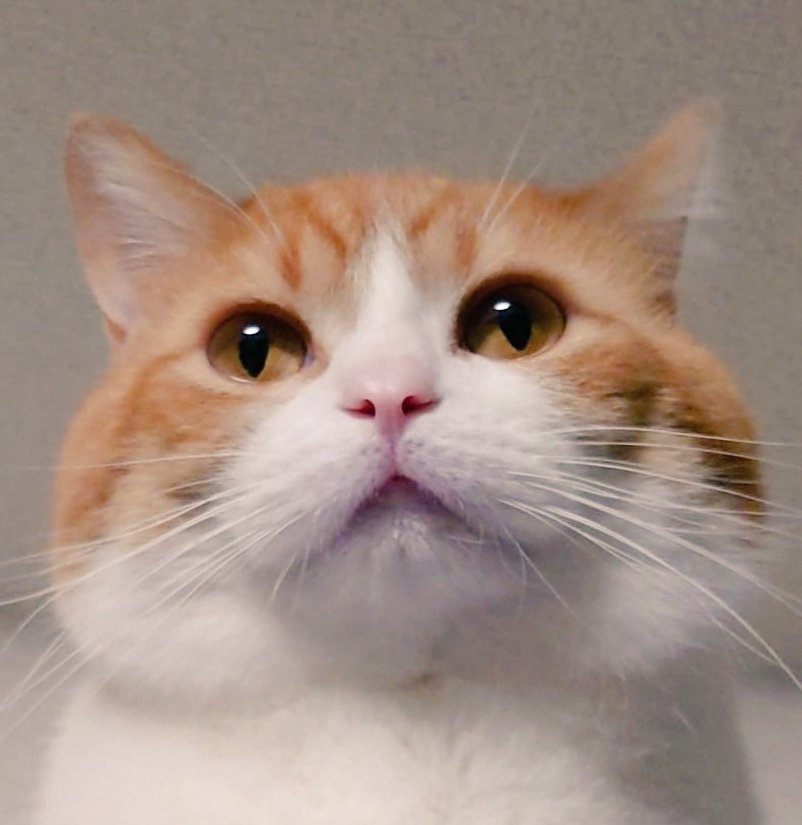 おちゃまる (@ochamarusan0126) / Posts / X