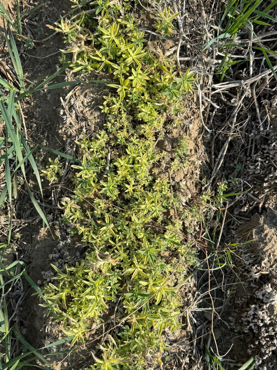 Core Ag Inputs- Warner Ltd tweet media