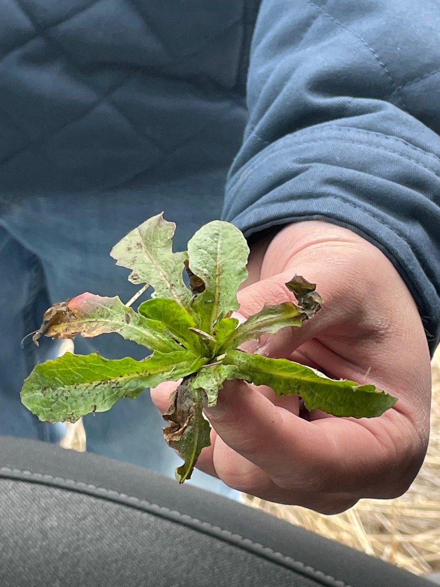 Core Ag Inputs- Warner Ltd tweet media