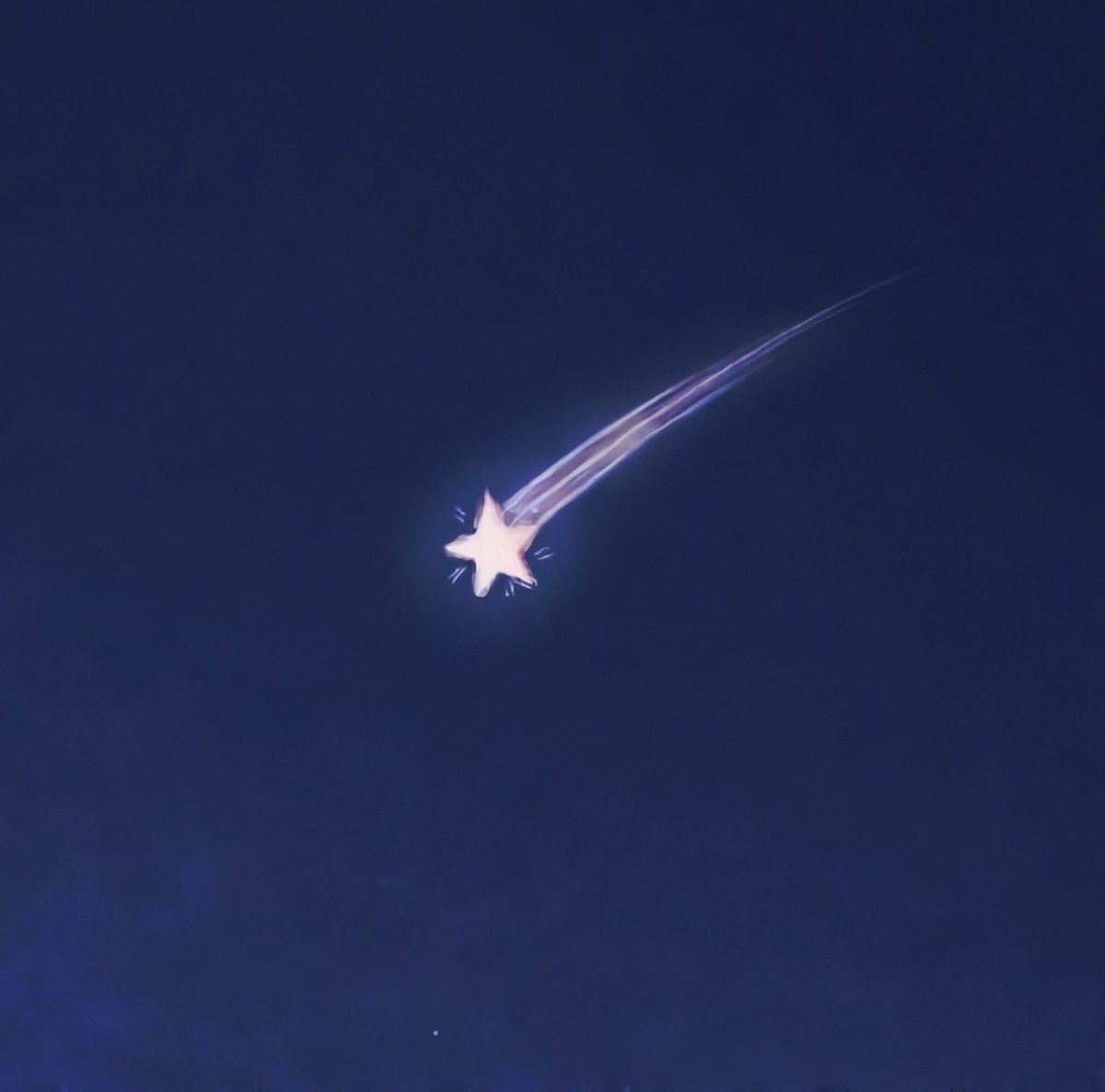 petalesblancs's tweet image. 