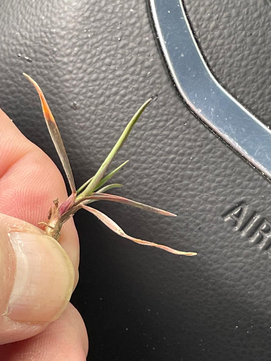 Core Ag Inputs- Warner Ltd tweet media