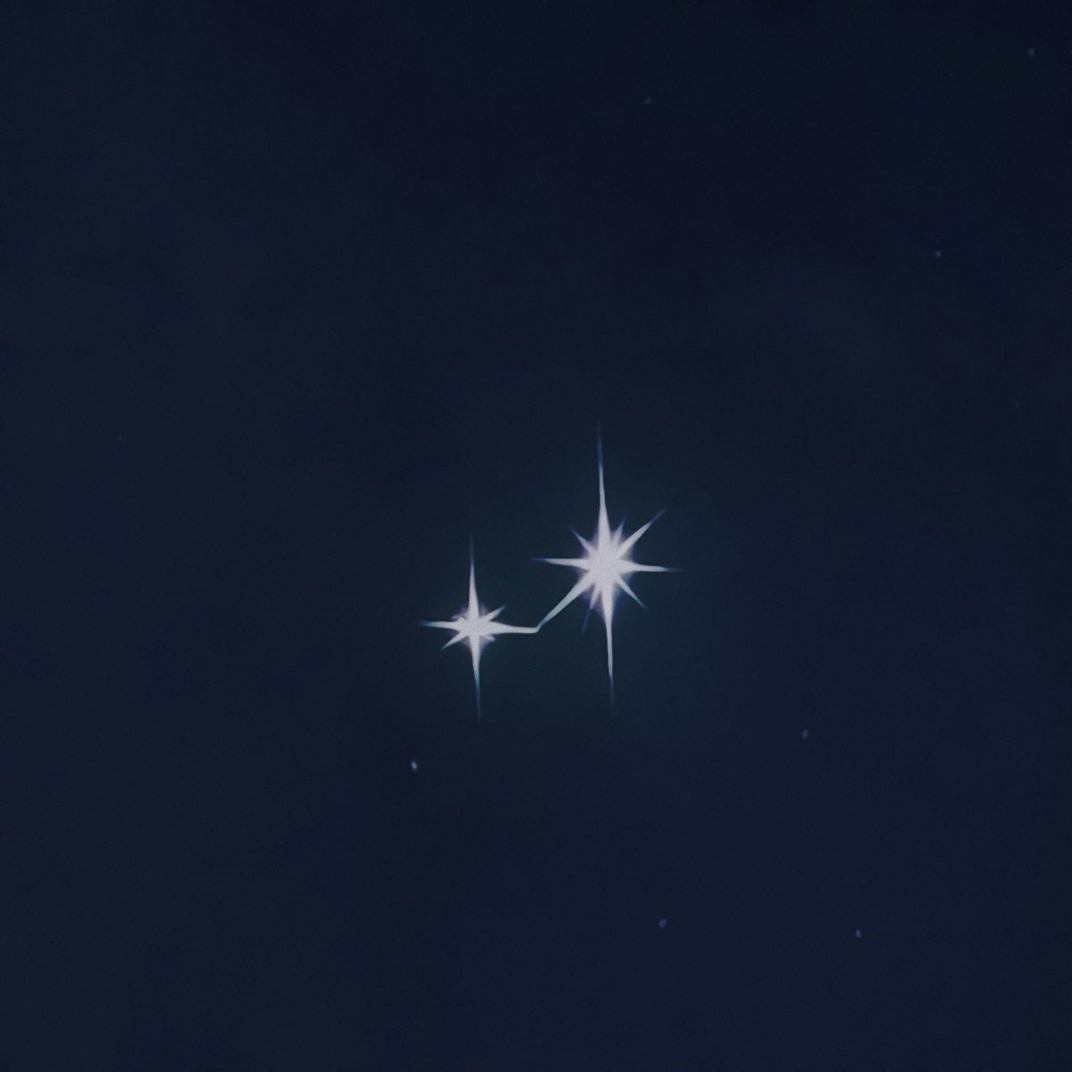 petalesblancs's tweet image. 