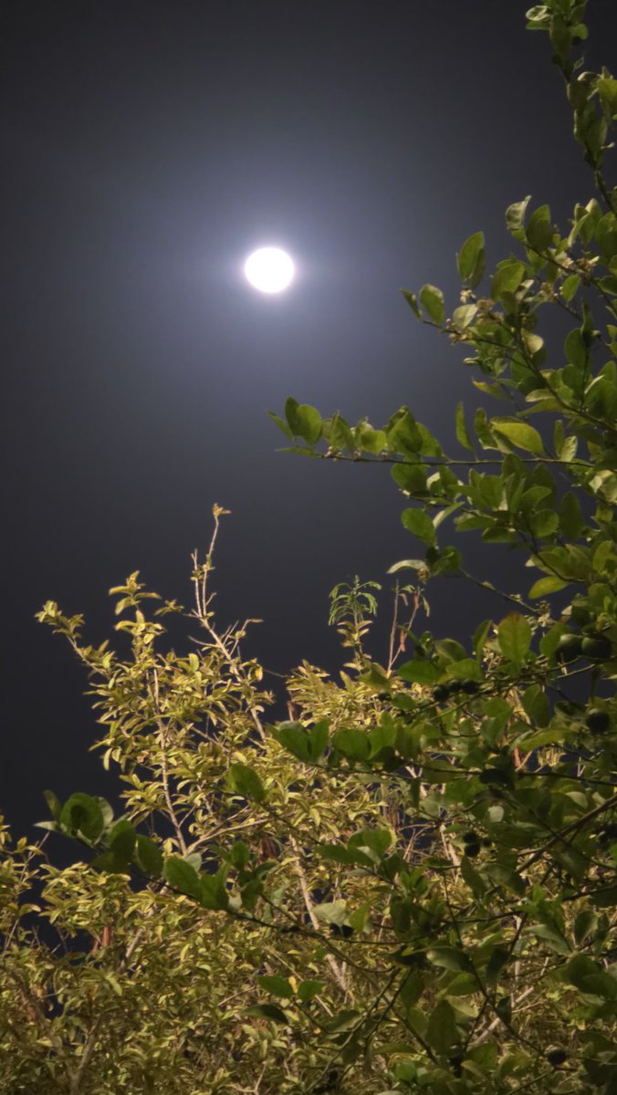 @90MAHMOOD90 ❤️ tweet media