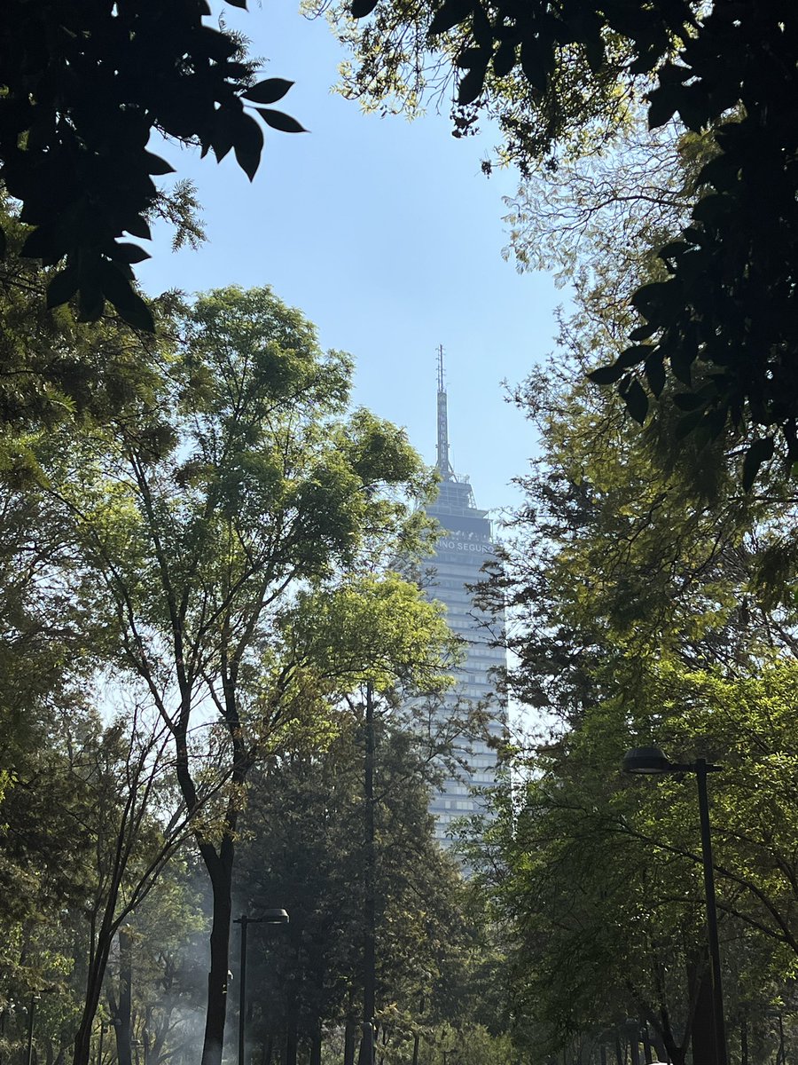 😎☀️

#ciudaddeméxico