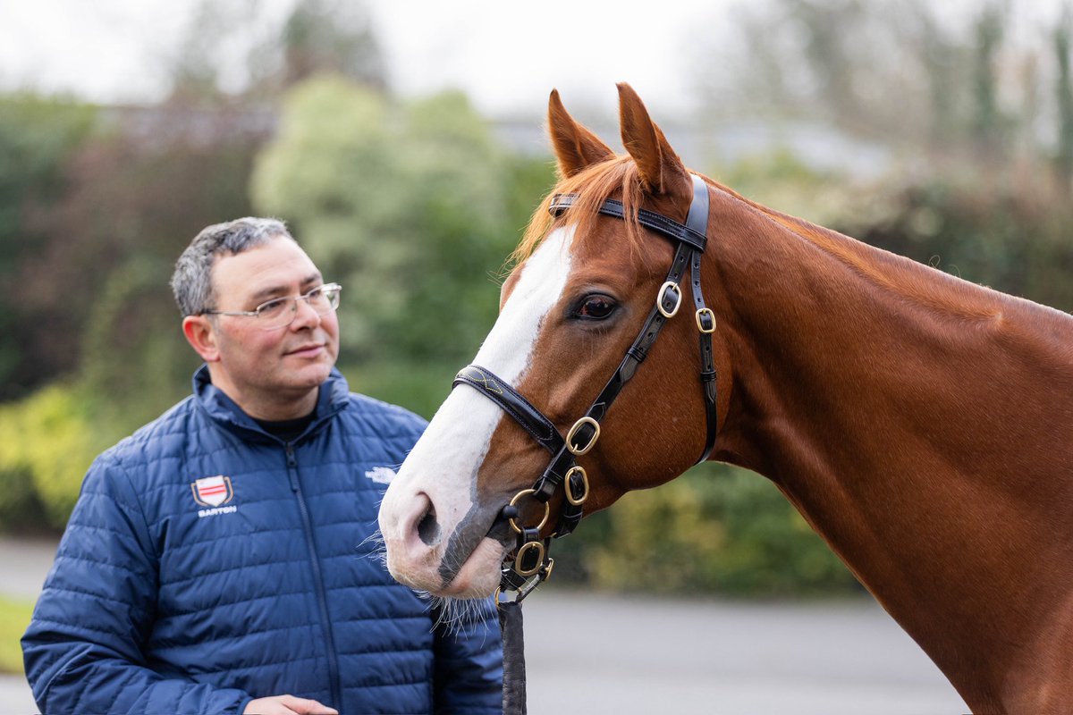 BartonStud1's tweet photo. 📸 Scorthy Champ and Stallion Manager Pablo on the first day of the Scorthy Champ breakfast.
Don’t miss seeing him before the breeding season begins with viewings continuing tomorrow and Friday from 9am at Elmswell Park Stud.
📍 Elmswell Park Stud, IP30 9ES
#ScorthyChamp https://t.co/cmyunBW01X