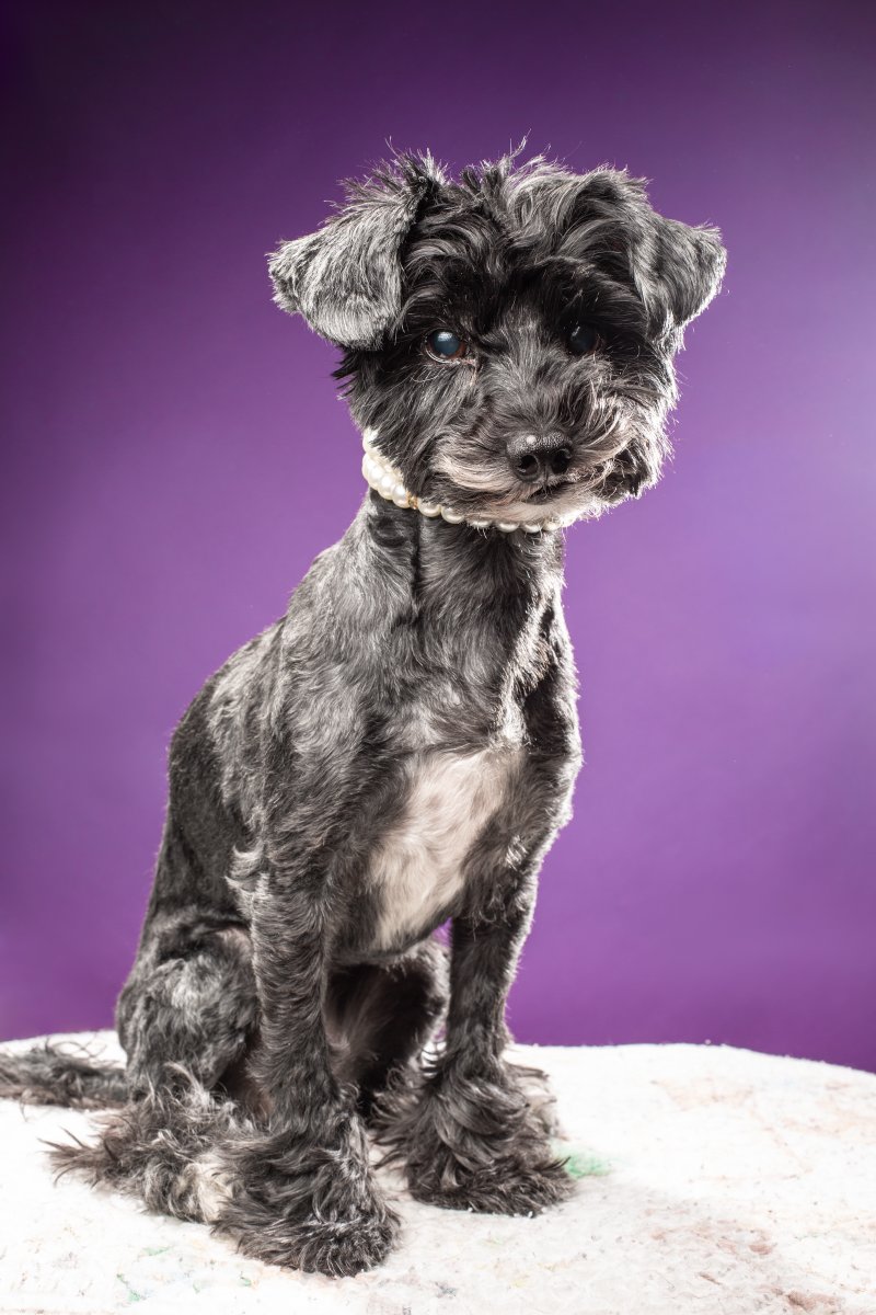 Benjamin Lehman tweet media