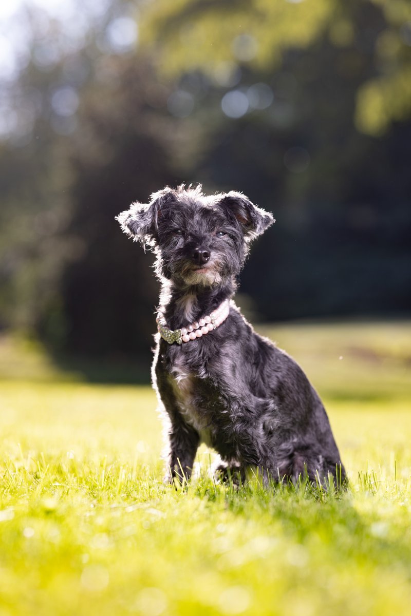 Benjamin Lehman tweet media