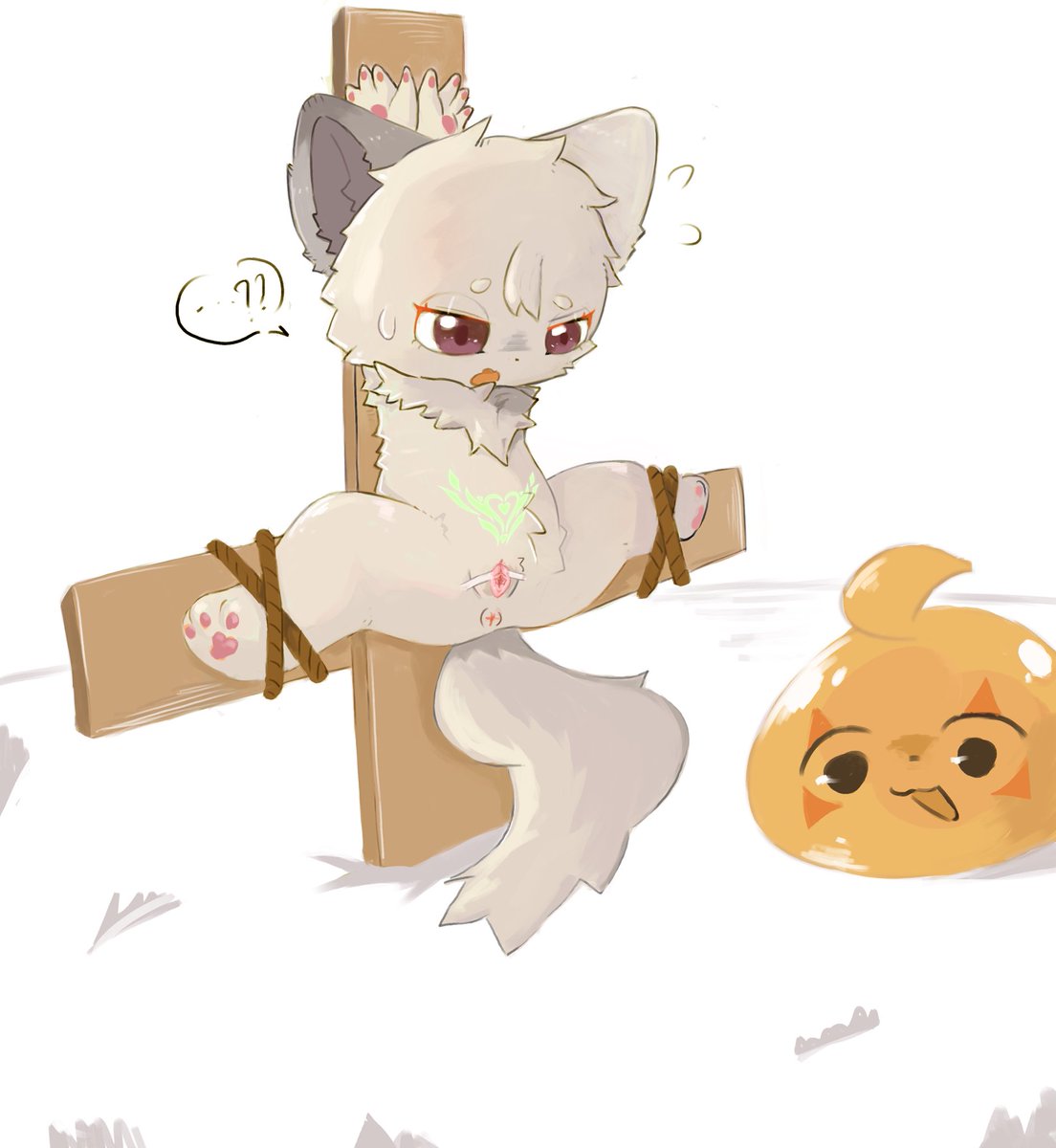 TDM控的魔王BAWU tweet media