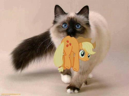altpone's tweet photo. heyyy drop it…drop it! https://t.co/M6rjhGGdQt