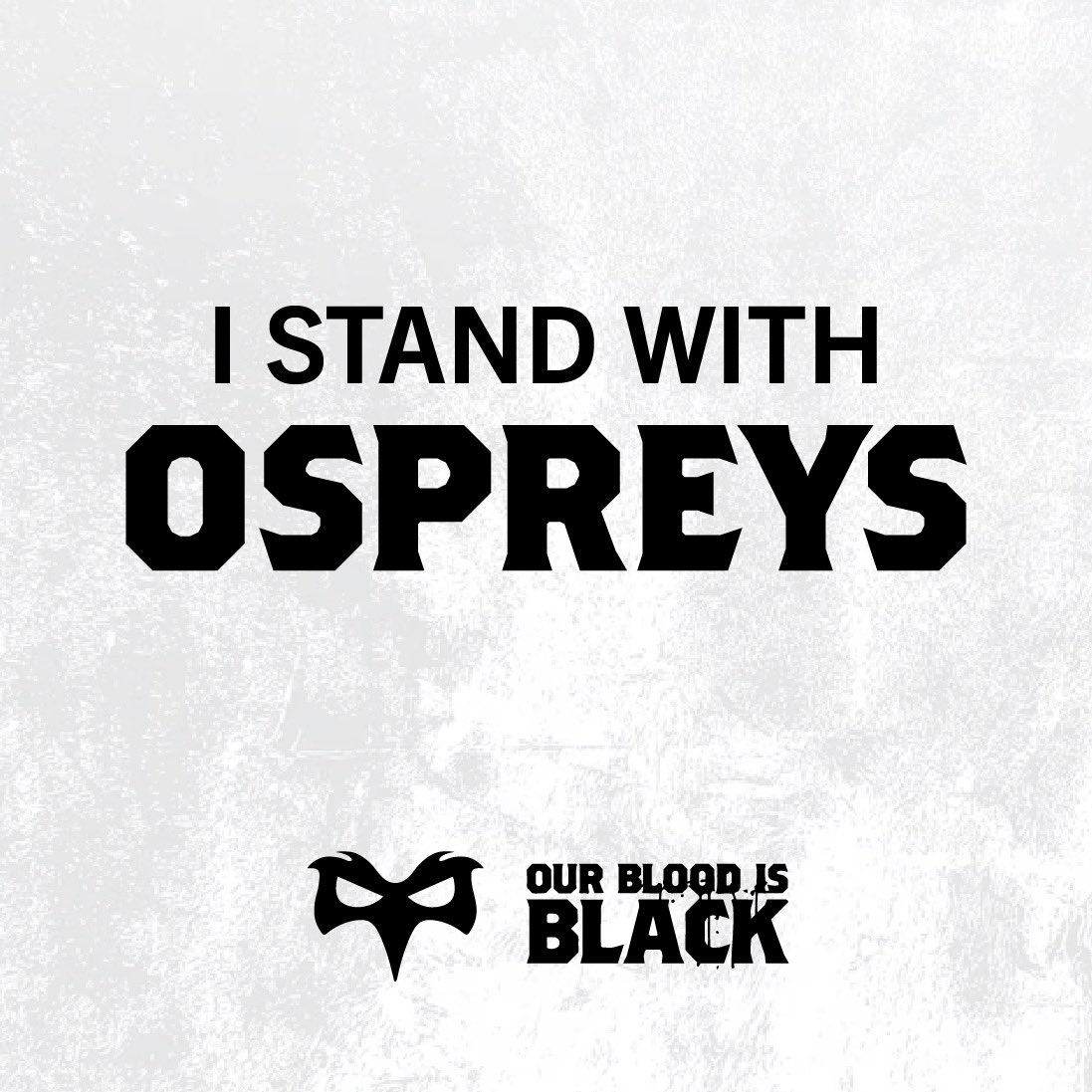 jones_mog's tweet photo. I’m absolutely disgusted by your behaviour @Lance_Bradley_ 
Do me a favour have a read through your posts on X for say the last 12 months. Look at the passion and joy you showed for the Ospreys.
Then come and meet the fans and admit it was all bullshit.
You should be ashamed. 
Absolutely embarrassing. 
Shame on you.
#ospreys
@WelshRugbyUnion