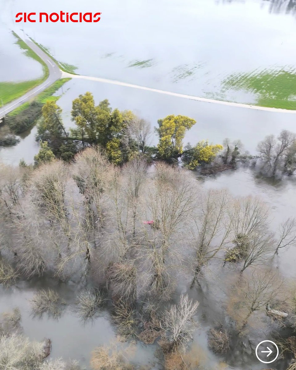 SICNoticias's tweet photo. Imagens captadas pela Força Aérea mostram as cheias provocadas pela muita chuva que caiu nas últimas horas.
Saiba mais em: https://t.co/ZihVOVvVJk
#meteorologia #inundacoes #cheias #forcaaerea #pais #portugal #riovouga #news #sicnoticias https://t.co/ZUa8DvVrqY