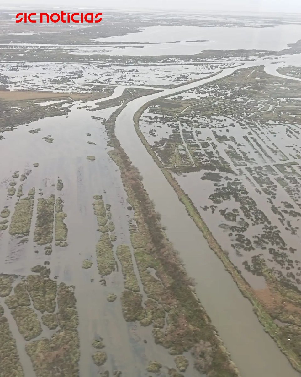 SICNoticias's tweet photo. Imagens captadas pela Força Aérea mostram as cheias provocadas pela muita chuva que caiu nas últimas horas.
Saiba mais em: https://t.co/ZihVOVvVJk
#meteorologia #inundacoes #cheias #forcaaerea #pais #portugal #riovouga #news #sicnoticias https://t.co/ZUa8DvVrqY