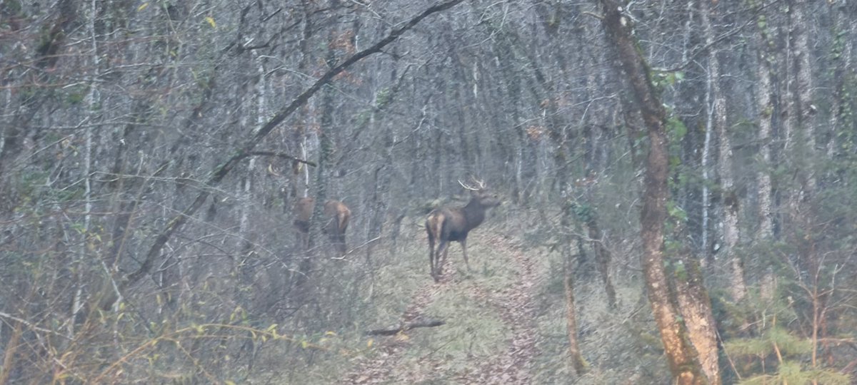 Voir ça a 200m de la maison 😌
