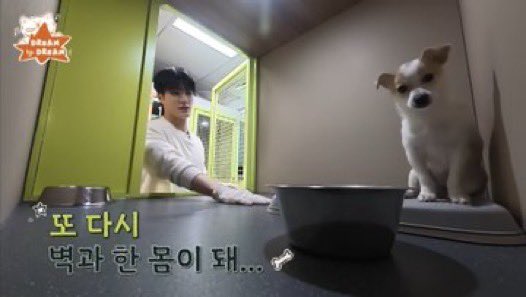 araiwaaa5's tweet image. เล่นกะโน่หนอย โน่ไม่มีอารัย