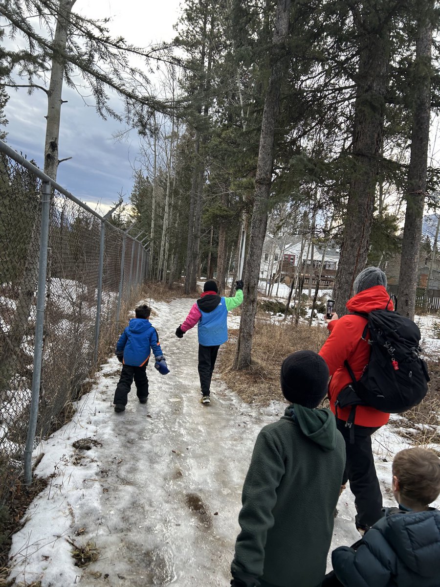 The students at Alpenglow School in Canmore started their day with an icy Winter Walk, following the olympic torch through the trees…