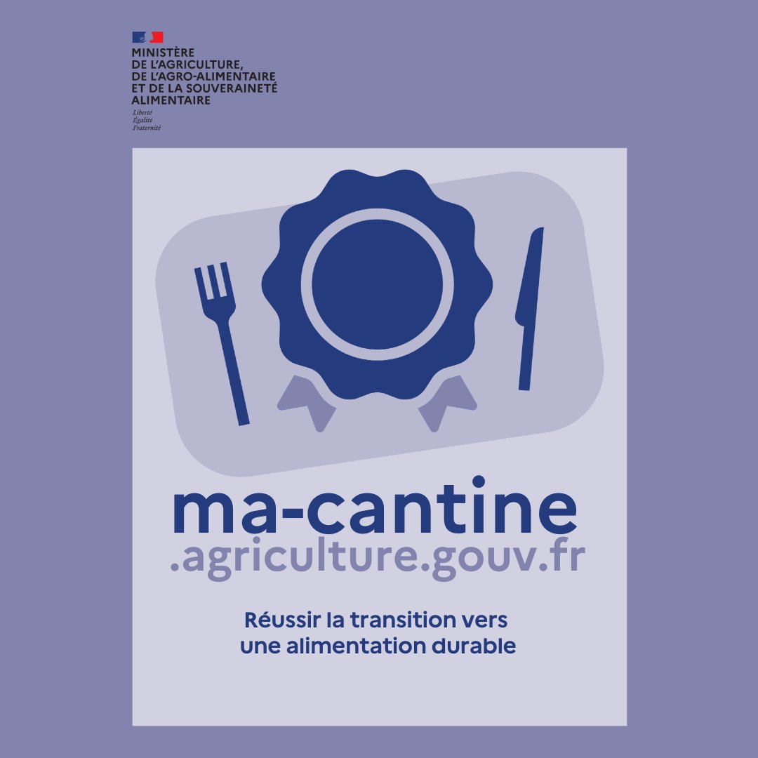 Image de Préfet de Corse préfet de Corse-du-Sud - 🍽 École, université, entreprise, administration, établissement de santé ou médico-social :
la loi E