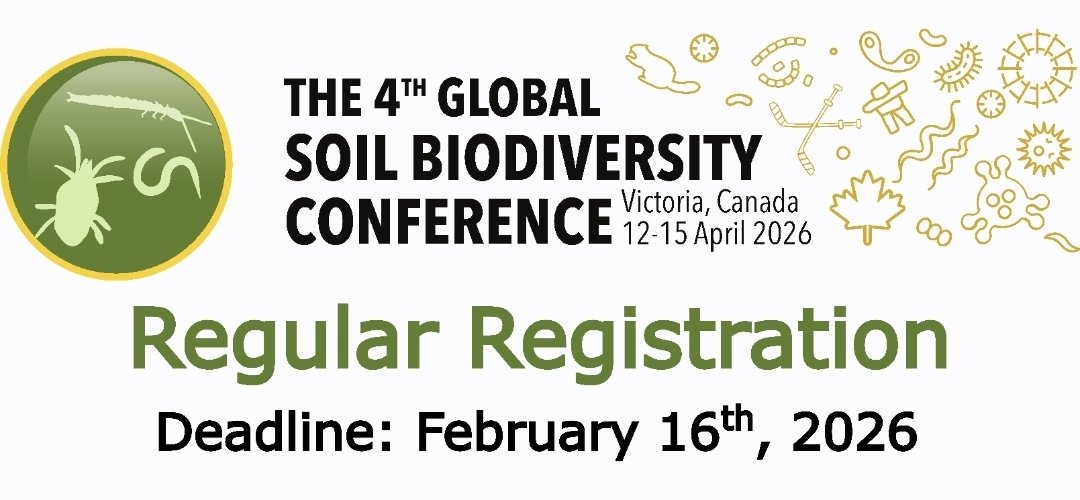 Carlos Barreto tweet media