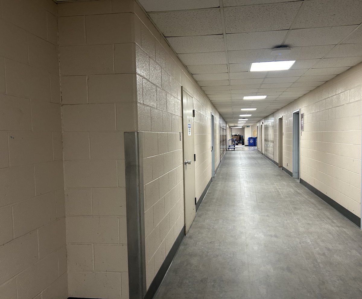 puffingus's tweet image. Life will make us crazy