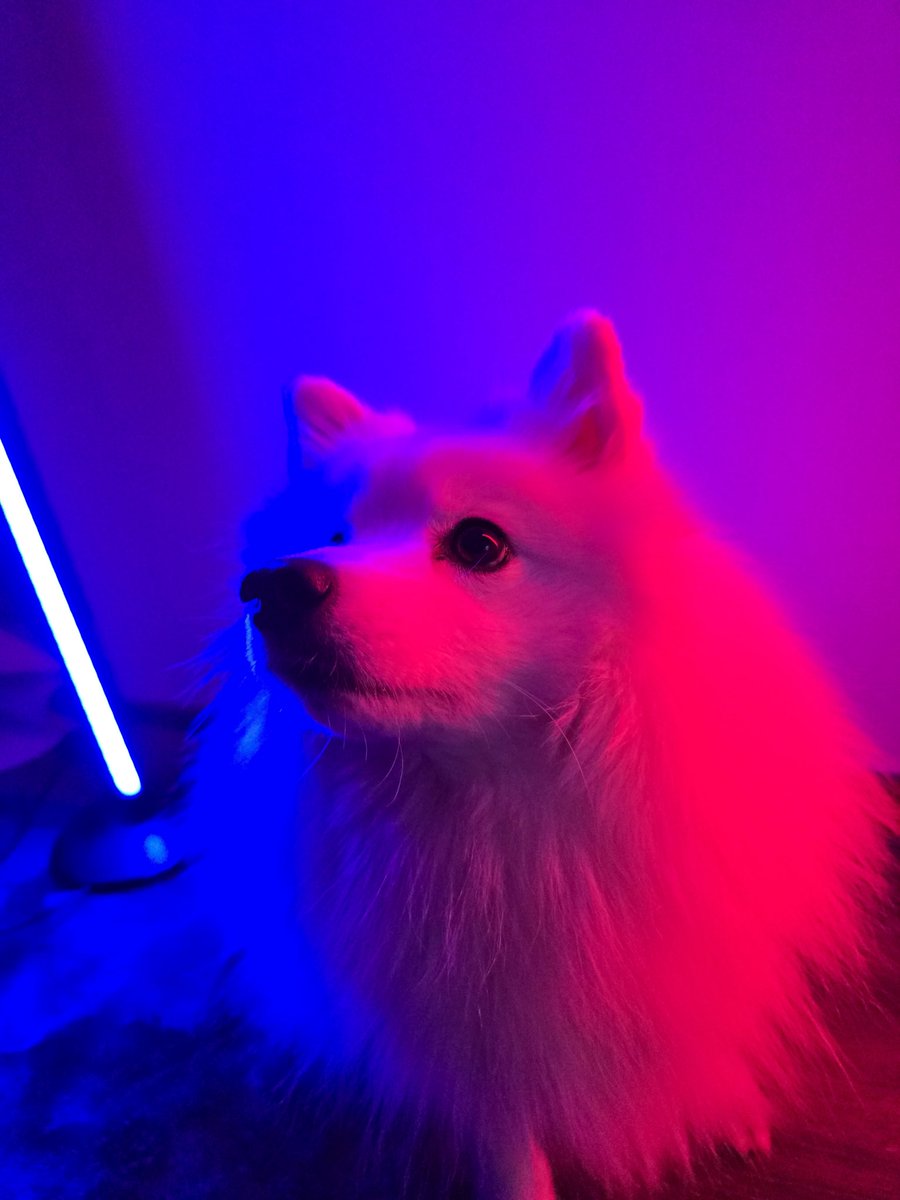 Ich halte mich hier mal kürzer als auf Insta aber: 

Danke für mittlerweile 13 Jahre "CreepyPastaPunch".

Danke, dass ihr nach all der Zeit noch da seid. Ihr seid super!