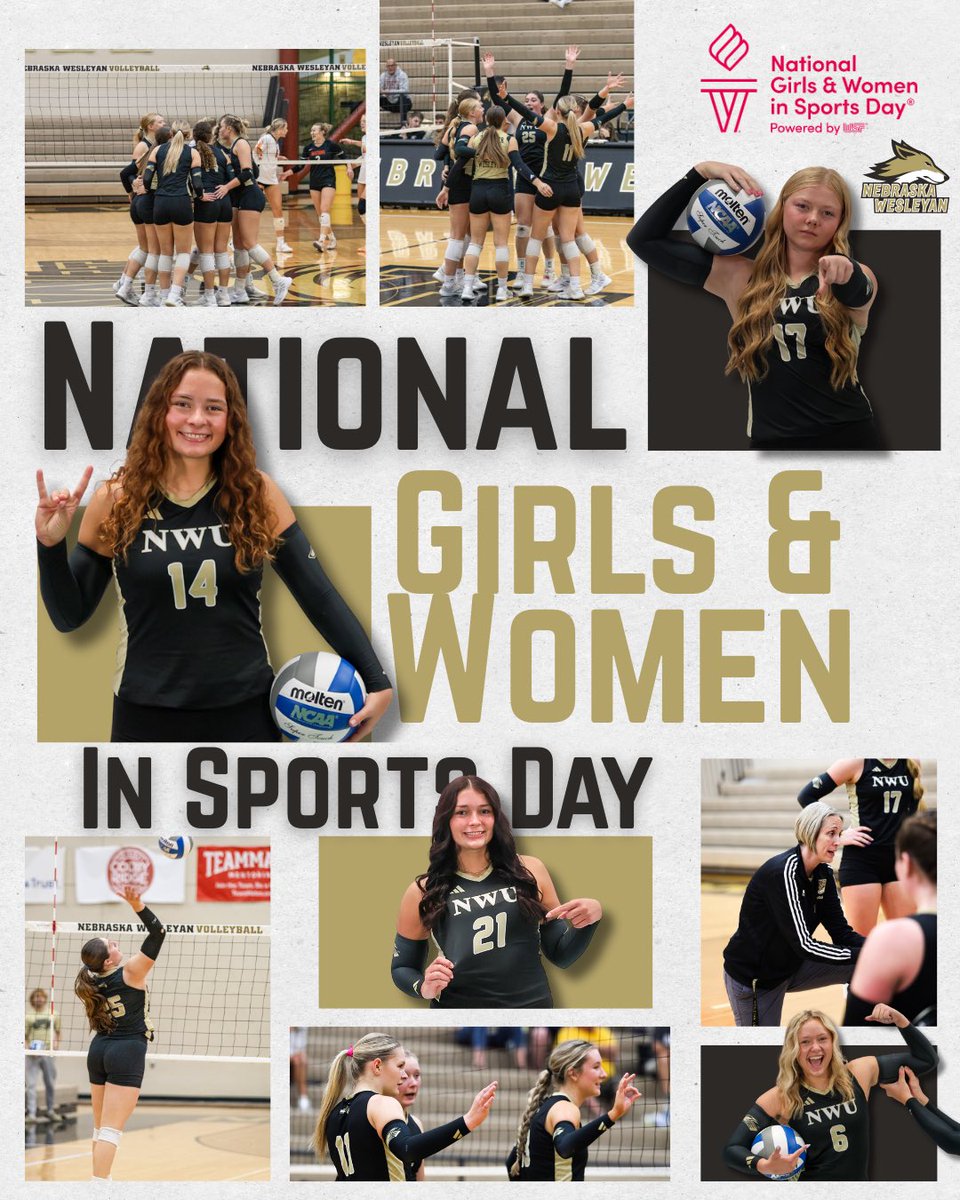 Nebraska Wesleyan Volleyball tweet media