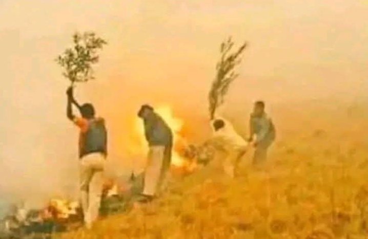 Dr_jeph. tweet media