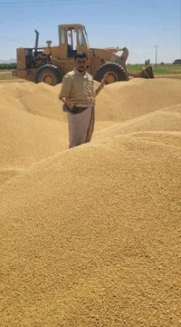 محافظة الجوف