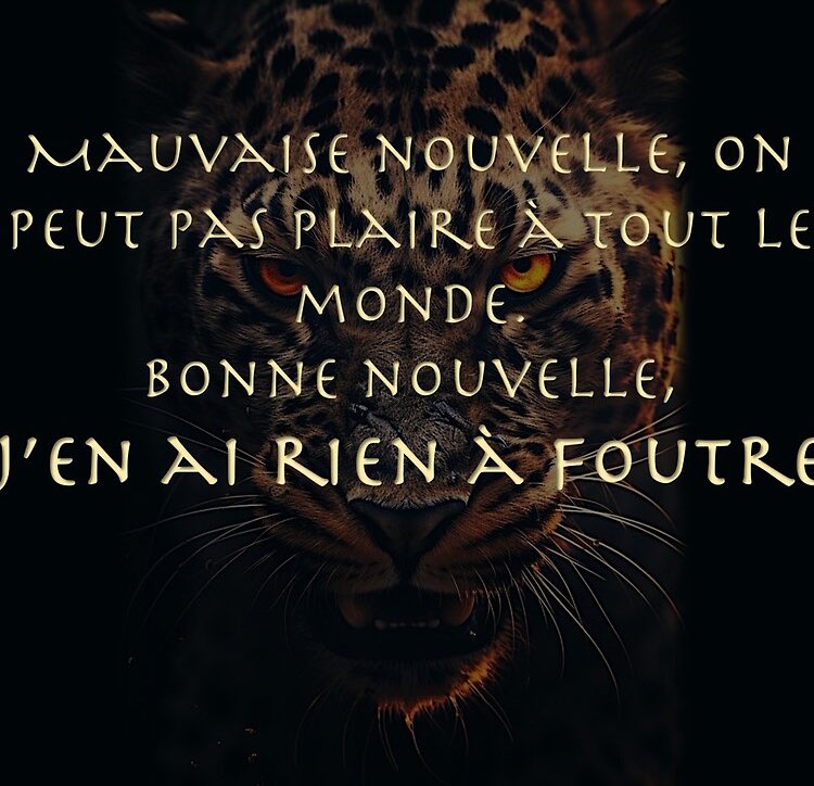 amcwtbd's tweet image. 