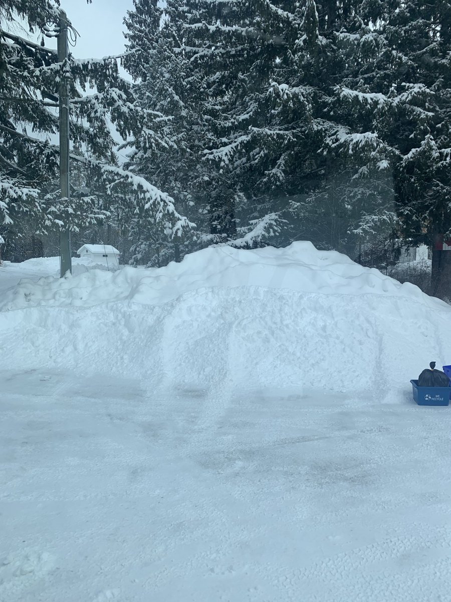 Harry(Nicer hair than a Breck Girl)Bennett tweet media