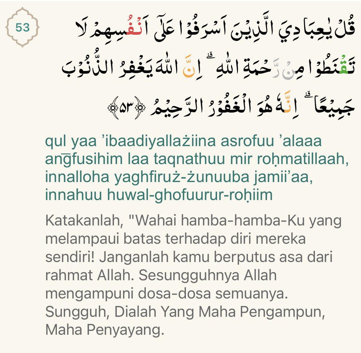 Dindin🪷 tweet media