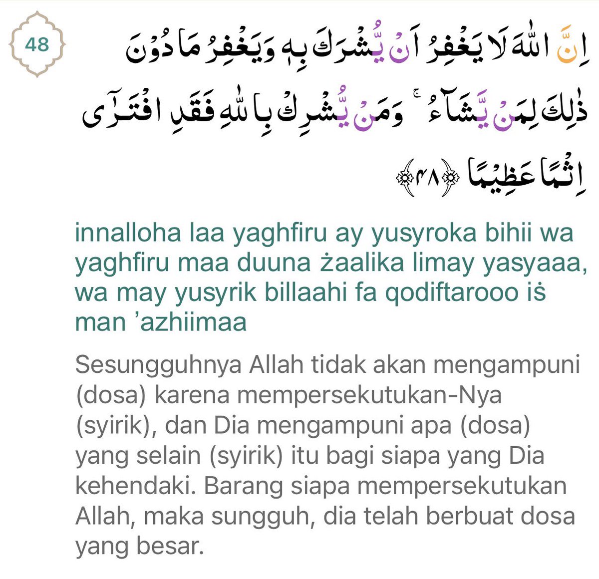 Dindin🪷 tweet media