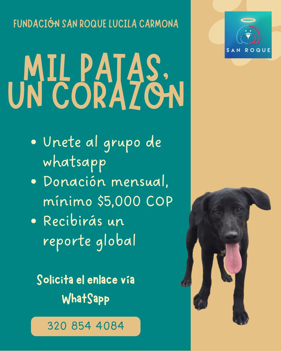 🐾 MIL PATAS, UN CORAZÓN ❤️‍🩹
¡Únete y haz parte de esta comunidad que cambia vidas!

Hemos creado un grupo de WhatsApp para todas las personas que desean apoyar de manera constante a nuestros peluditos rescatados. La idea es formar una red de corazones solidarios que, con aportes